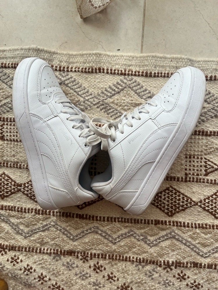 Basket puma