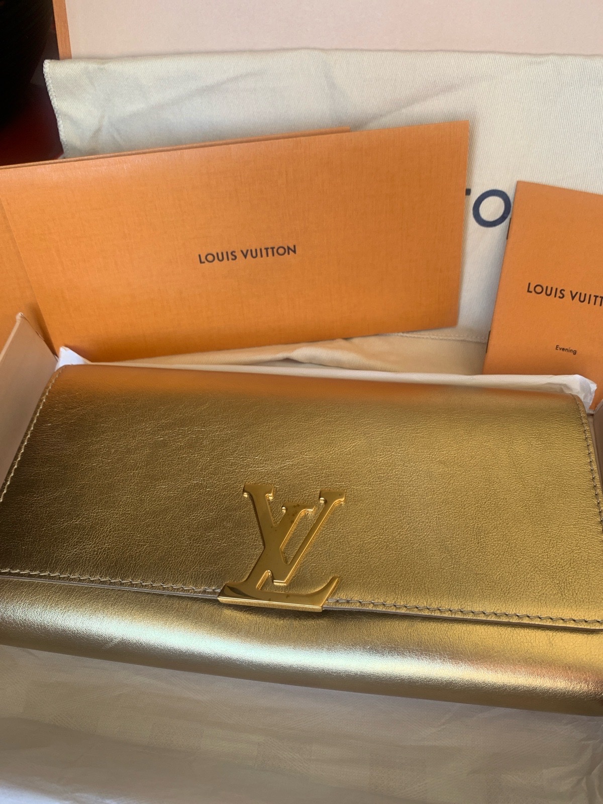 Sac a main Louis Vouitton