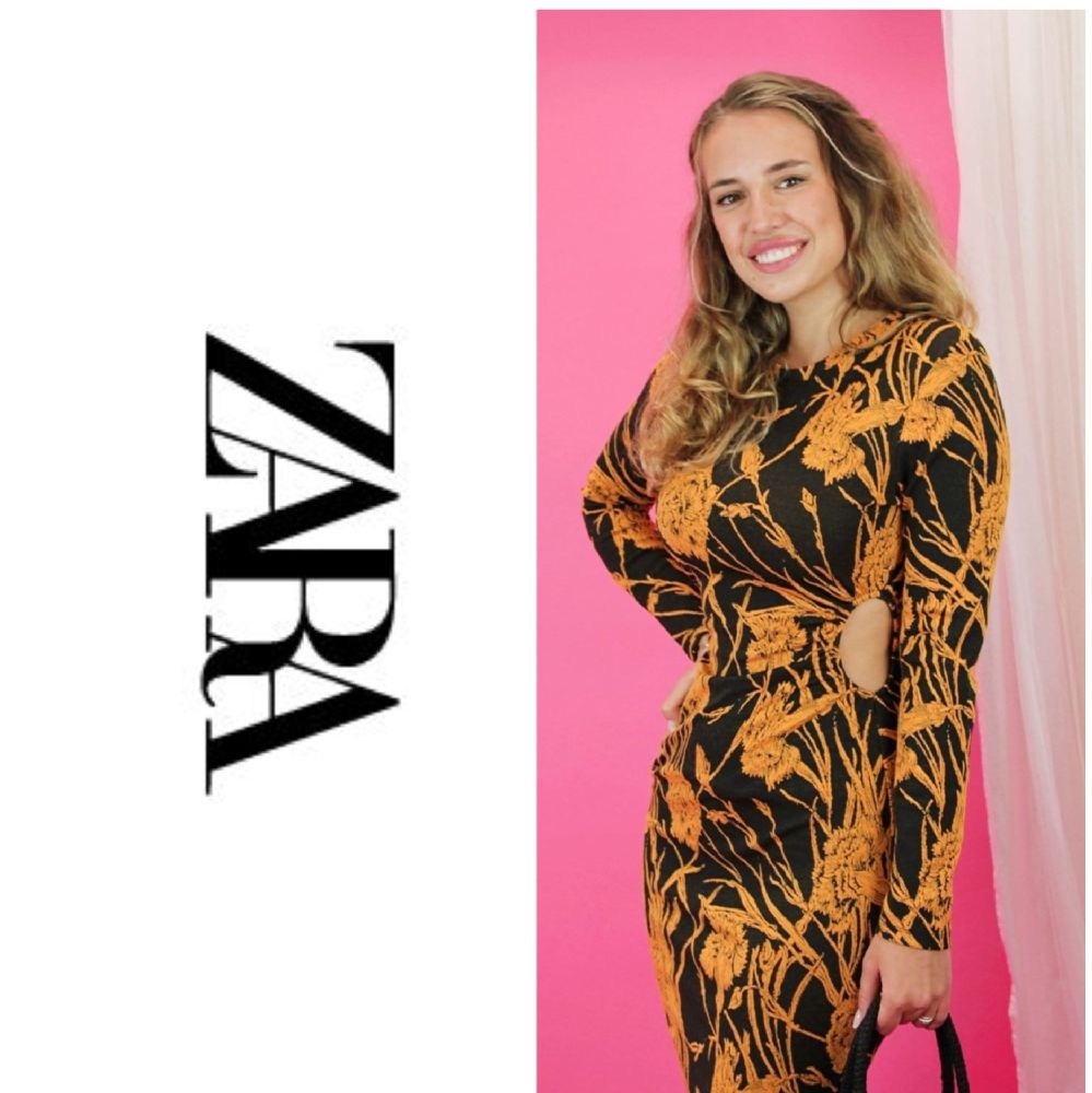 ZARA Fitted Midi Dress