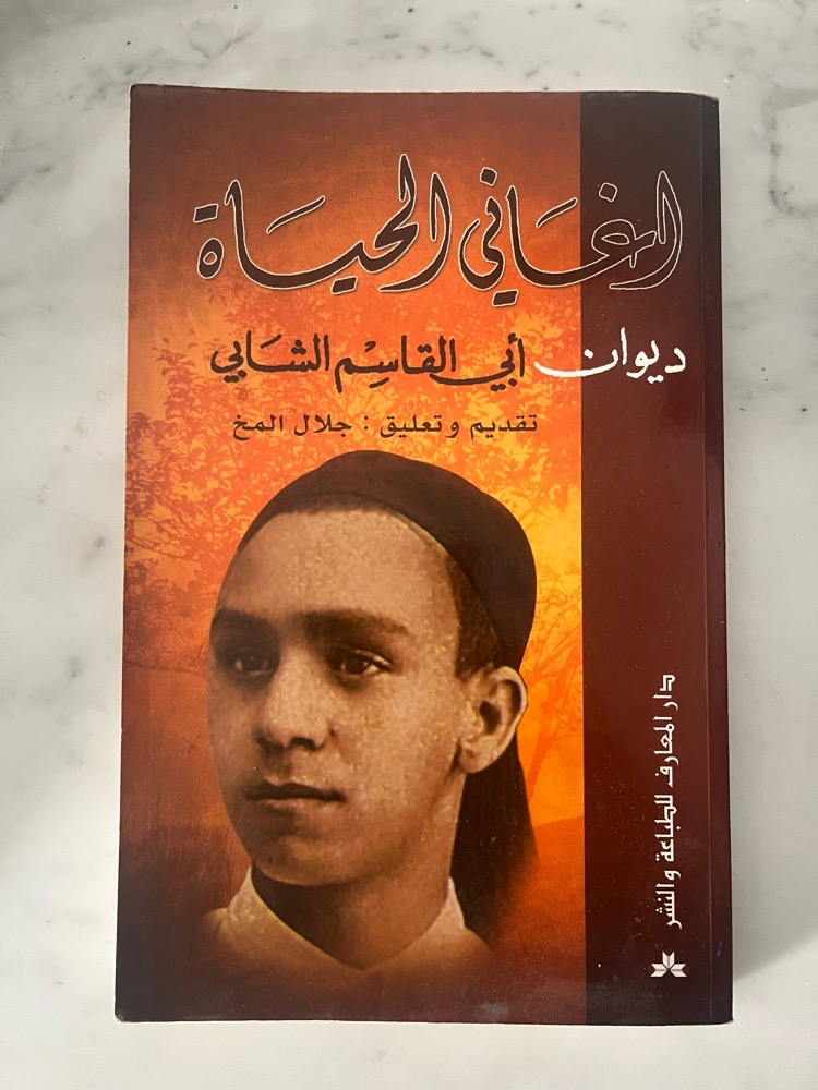 جميع القصائد الشعرية أبي القاسم الشابي
