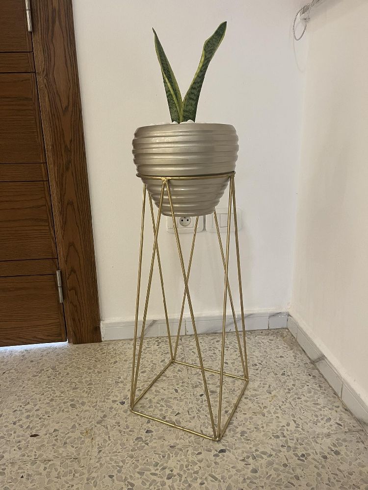 Plante d'intérieur naturelle avec support