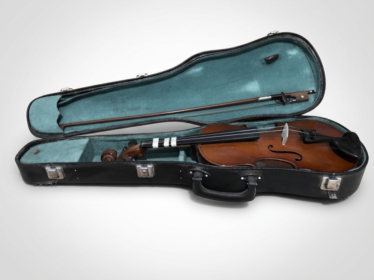 Violon Taile:1/2