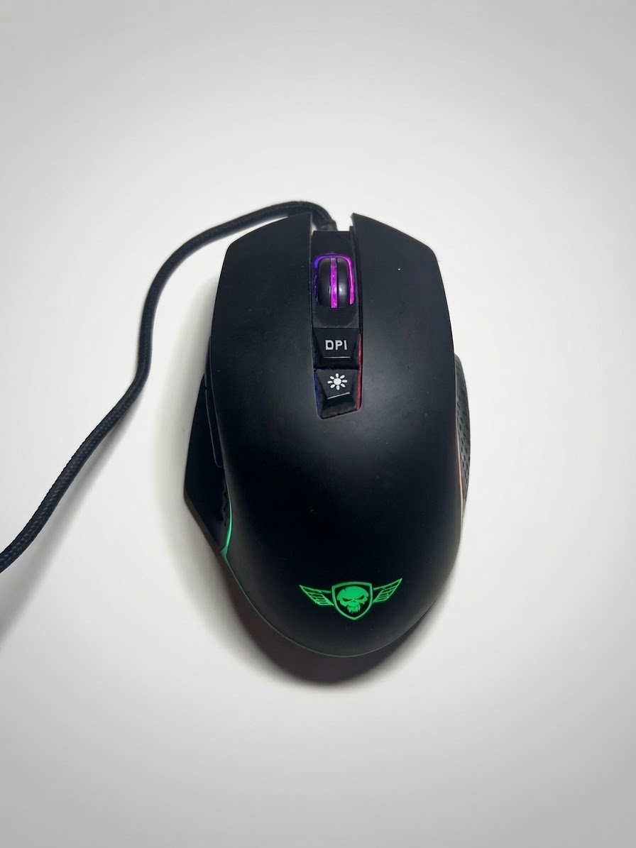 Souris noir