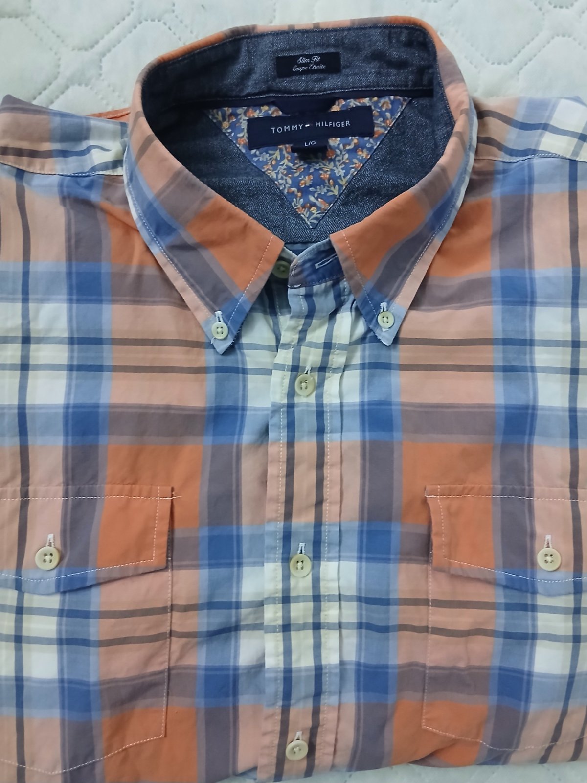 Chemise Tommy 