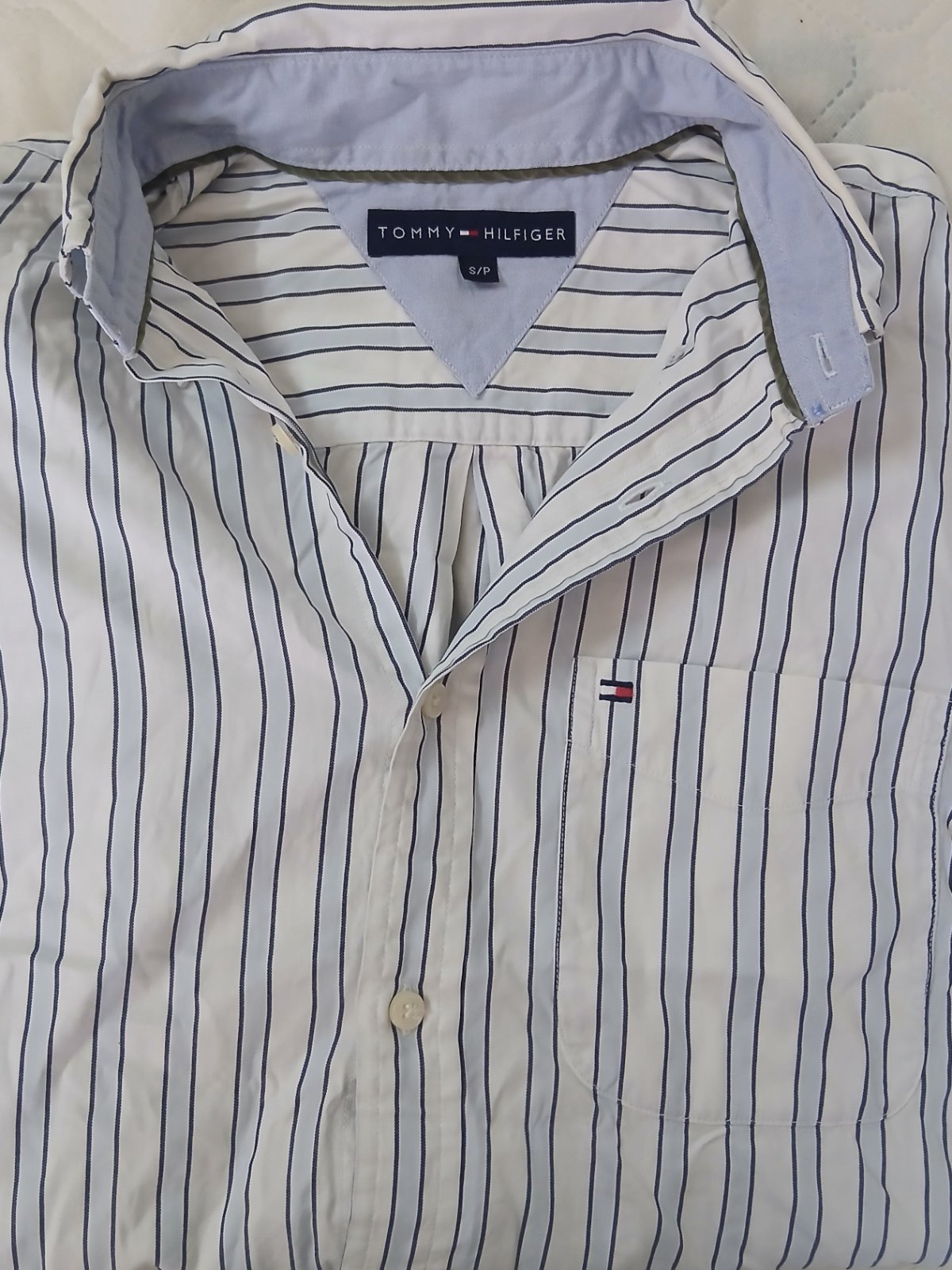 Chemise Tommy 