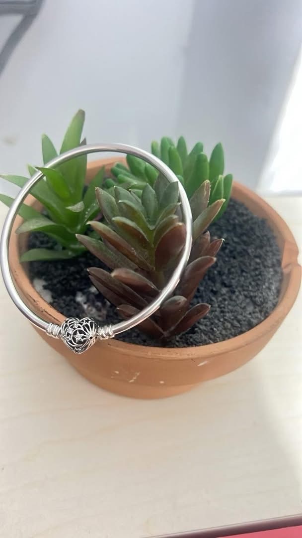 Pandora jmais porte