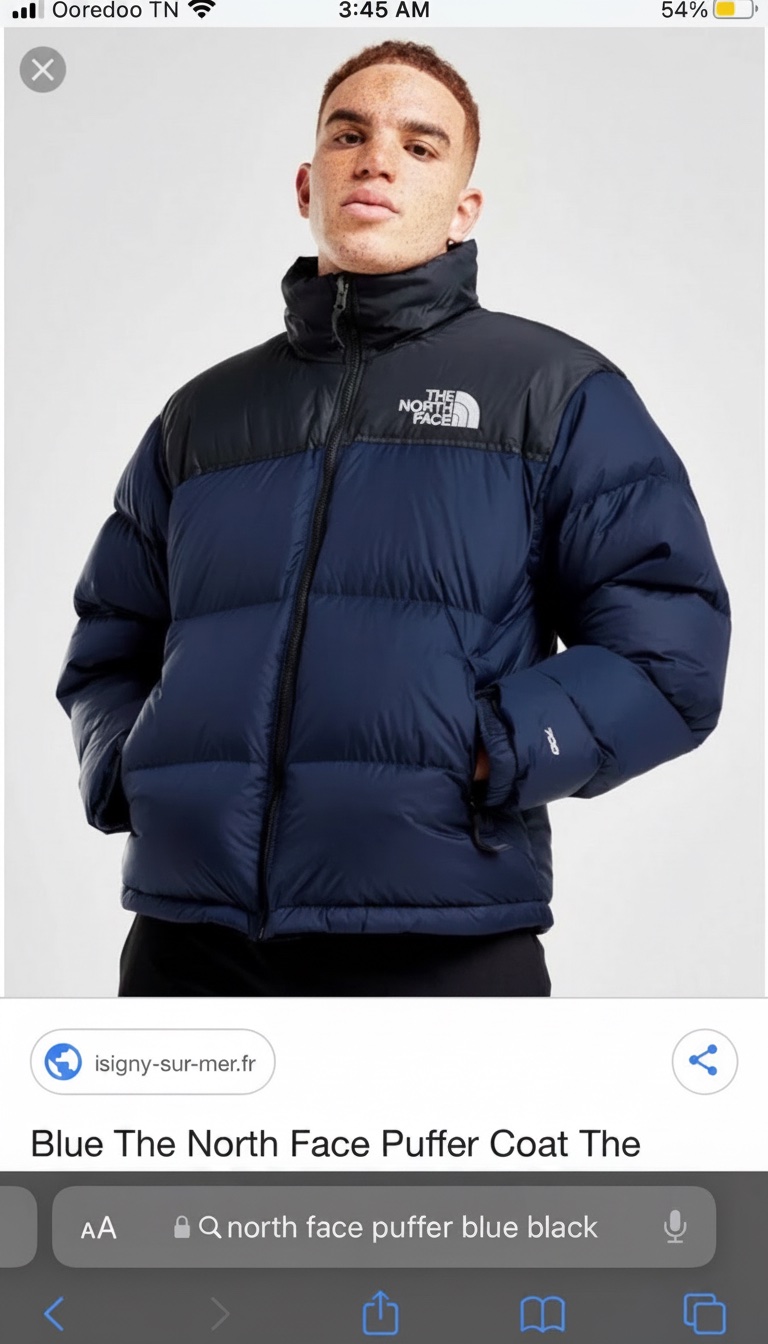 NORTH FACE PUFFER 