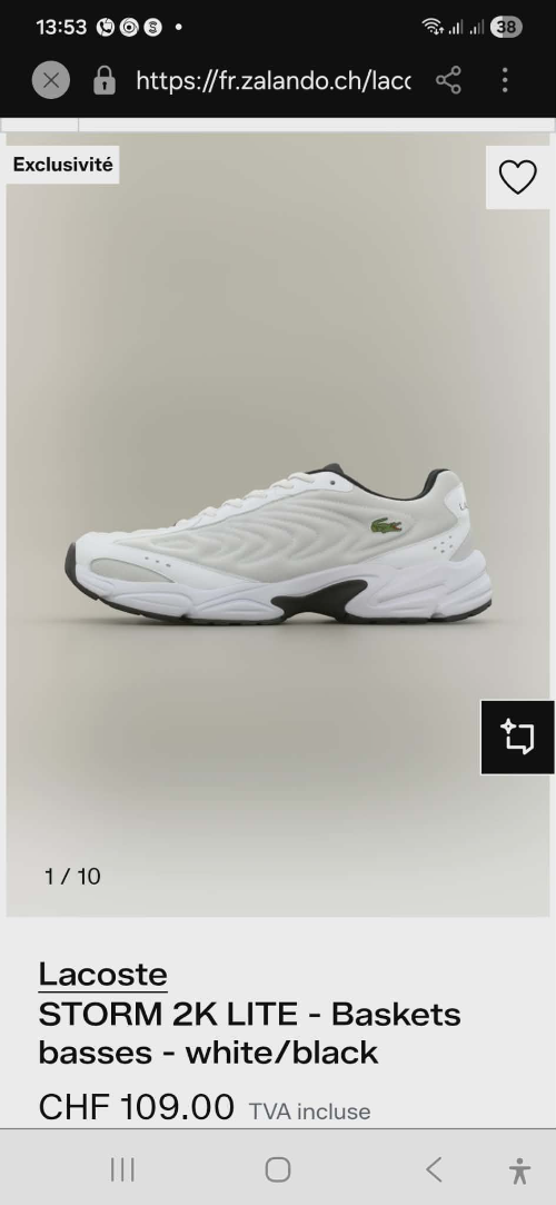 Basquette lacoste originally 