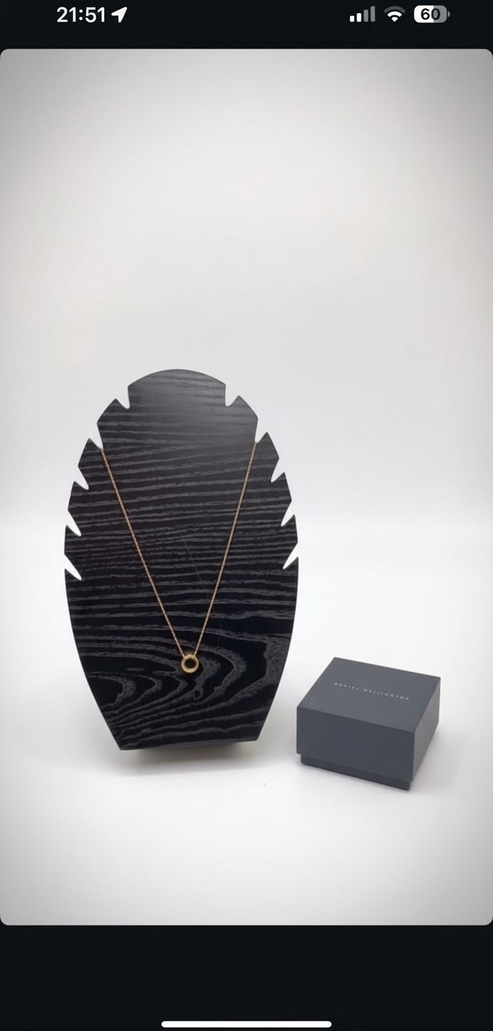 Collier daniel wellington 