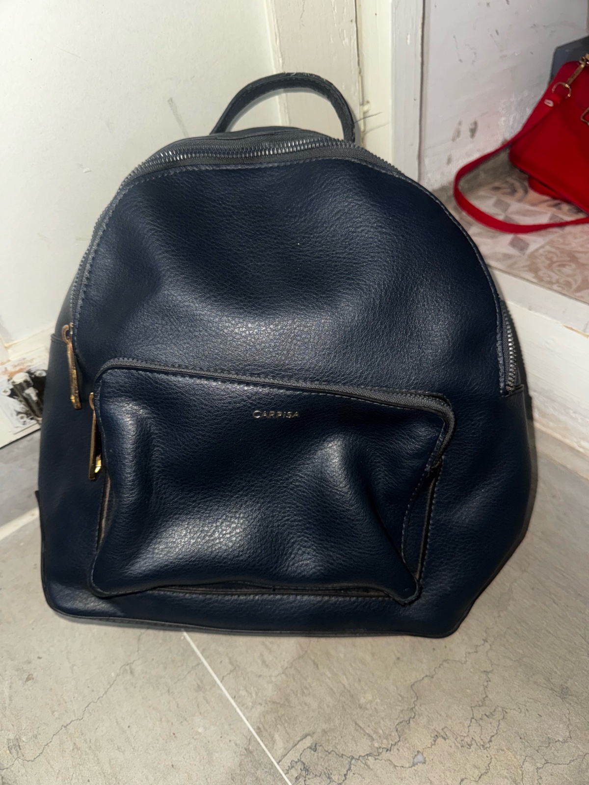 Sac carpisa 