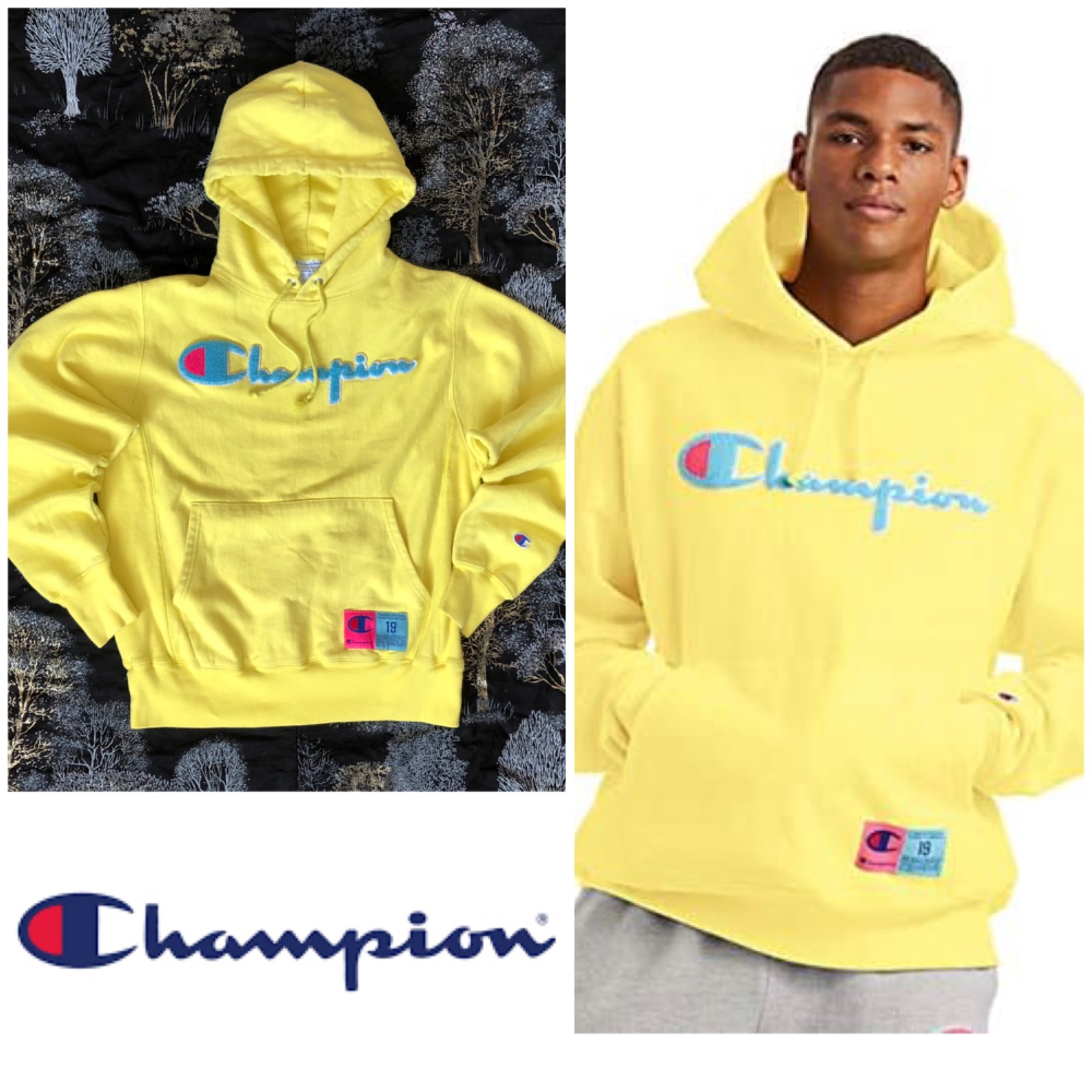 Hoodie Champion 