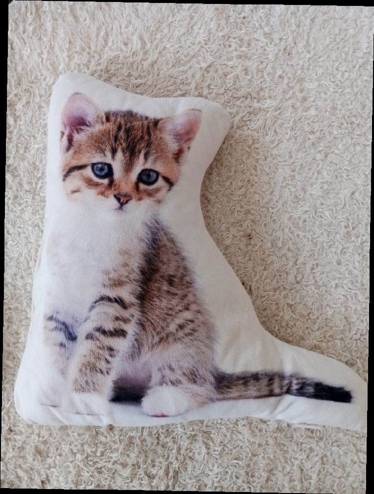 Coussin Chat