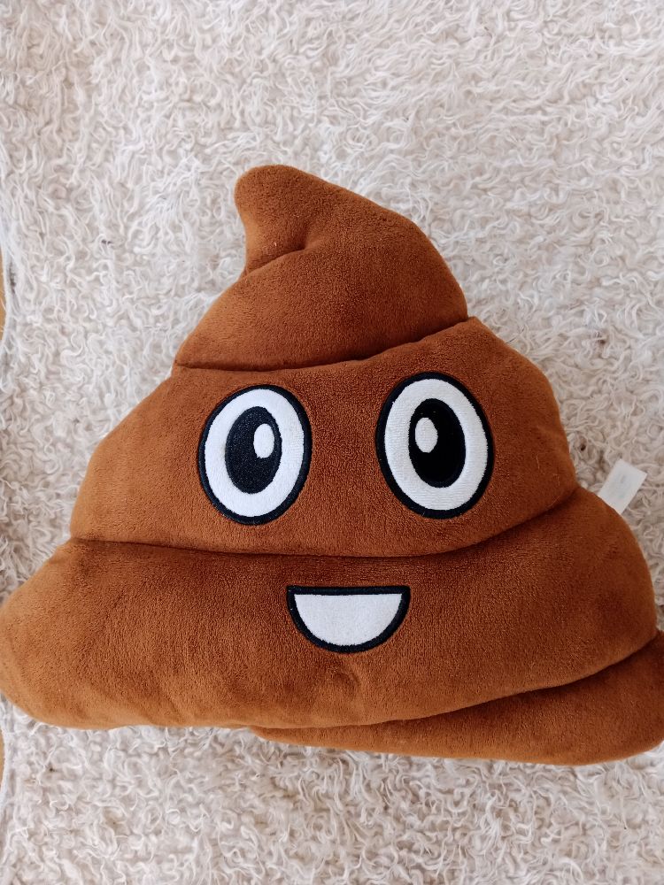 Coussin poop 