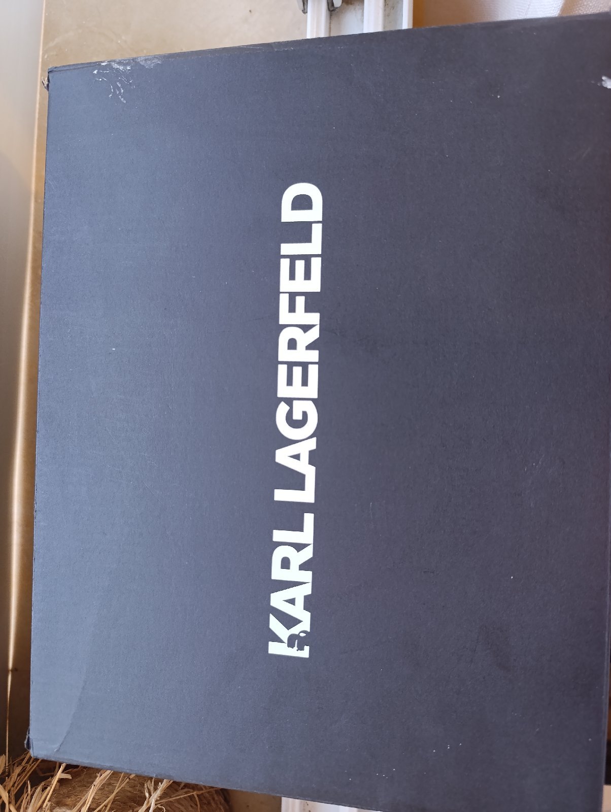 Chaussures karl Lagerfeld 