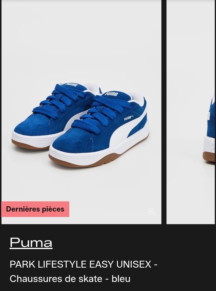 Puma skater shoes