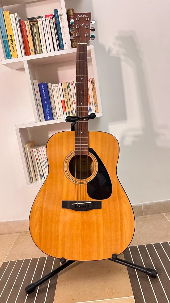 Guitare folk Yamaha F310P