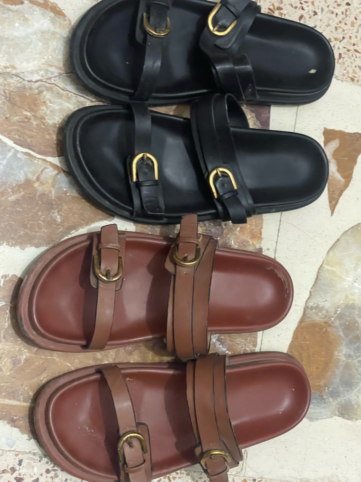 Deux mules noires et marrons