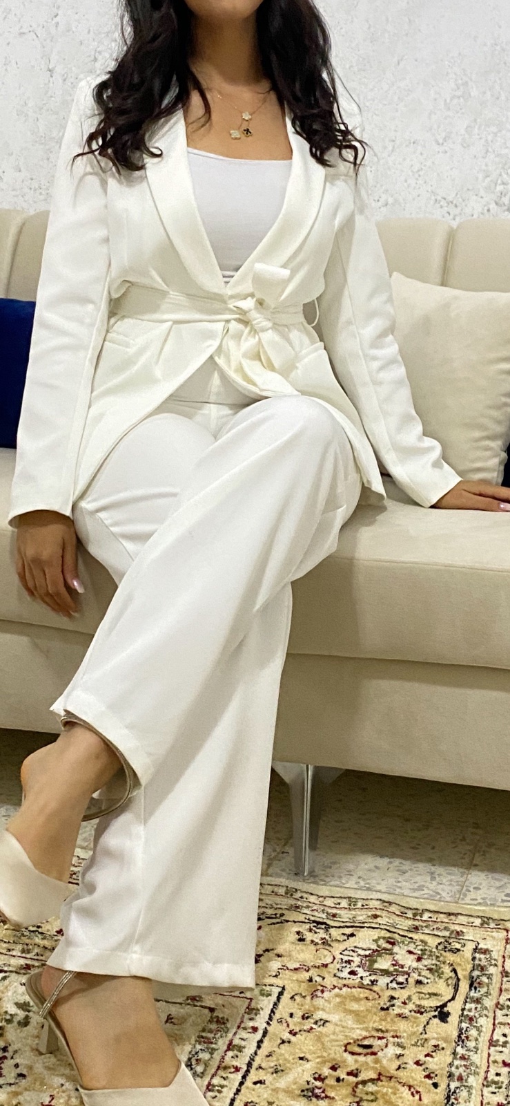 Ensemble model Zara