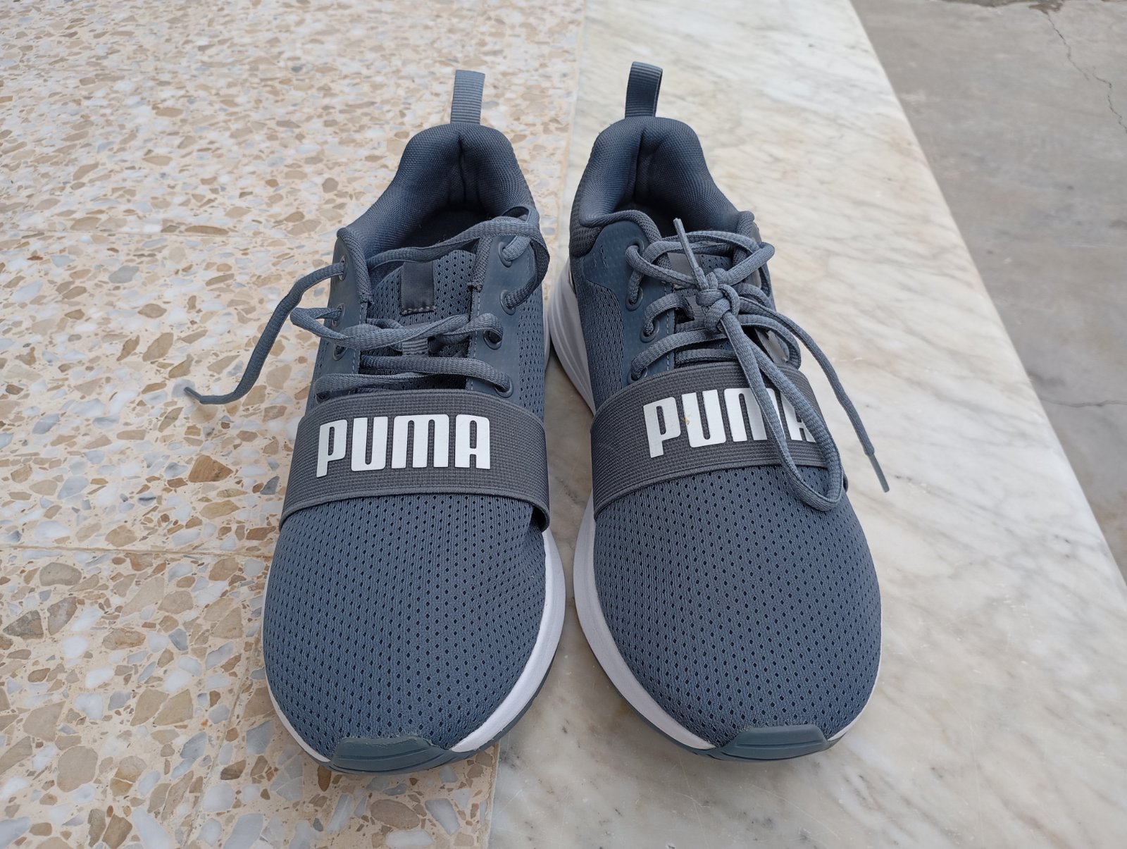 Puma