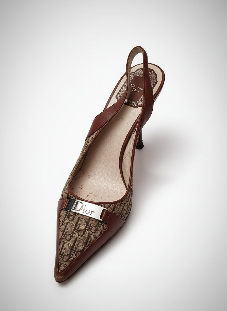 Christian dior