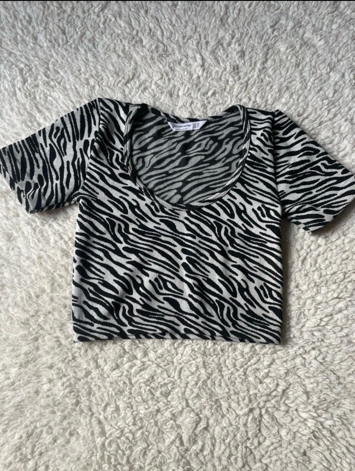 Top zebra stradivarius