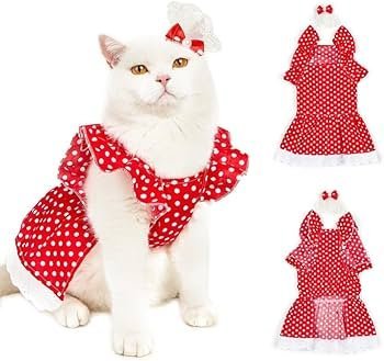 Robe de princesse rouge à pois pour chats et une bordure en dentelle blanche 