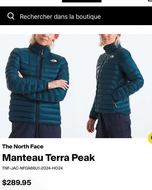 🔥THE NORTH FACE🔥
