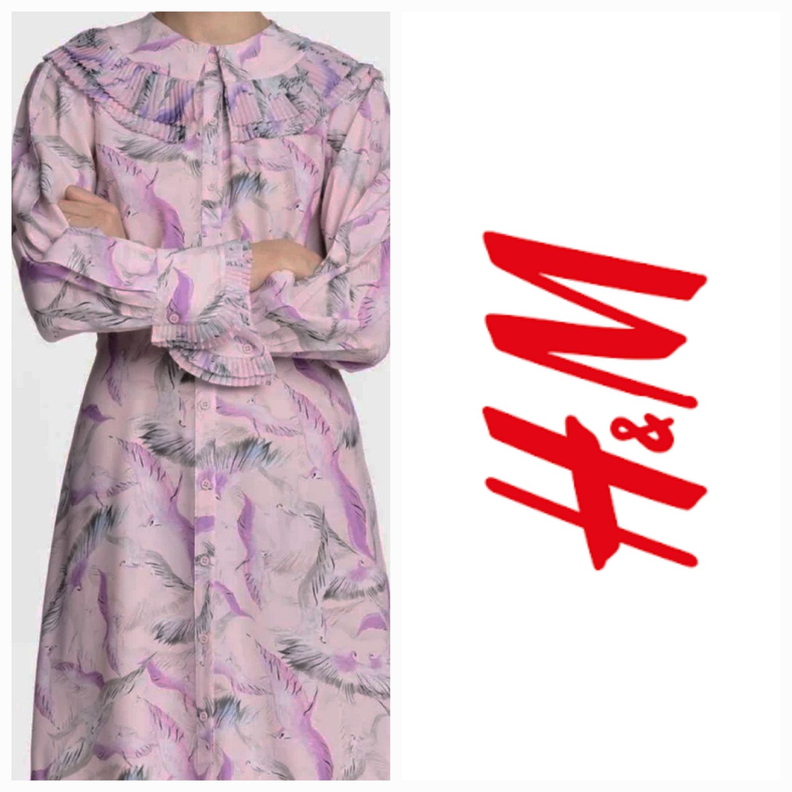 Chemise H&M rose présente un motif d'oiseaux distinctif et un col à volants plissés.