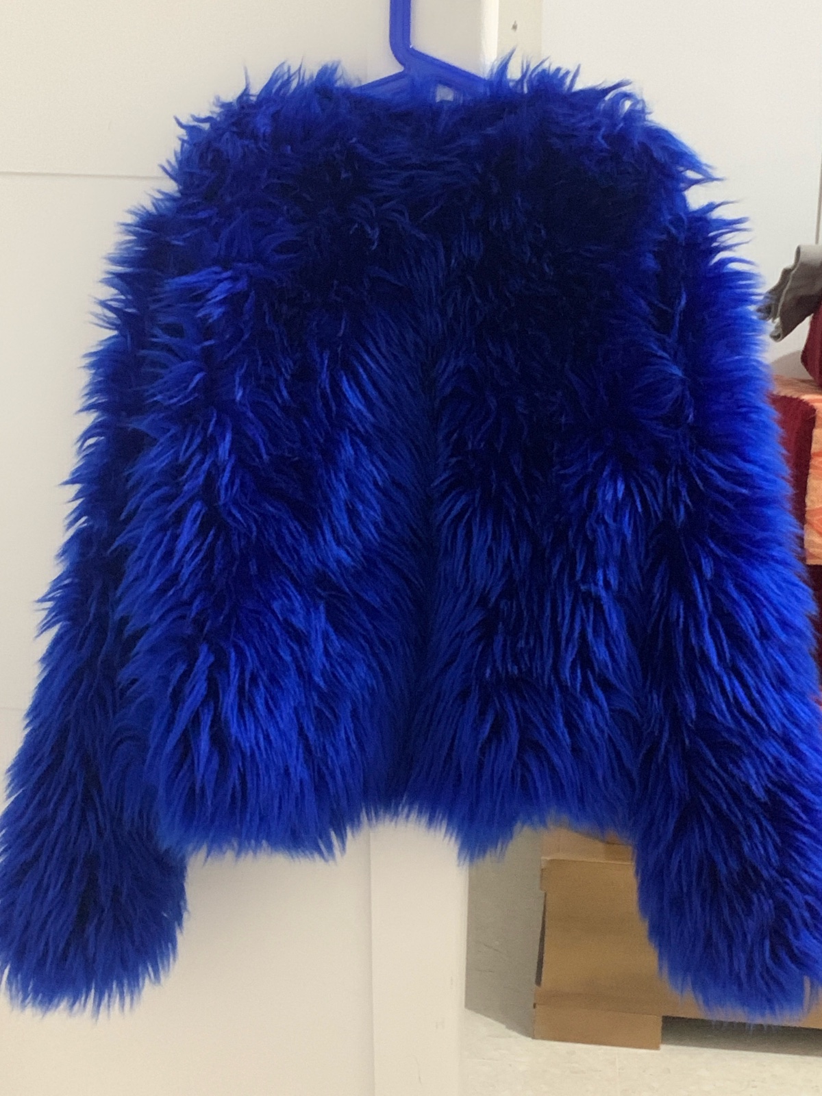 Manteau bleu 