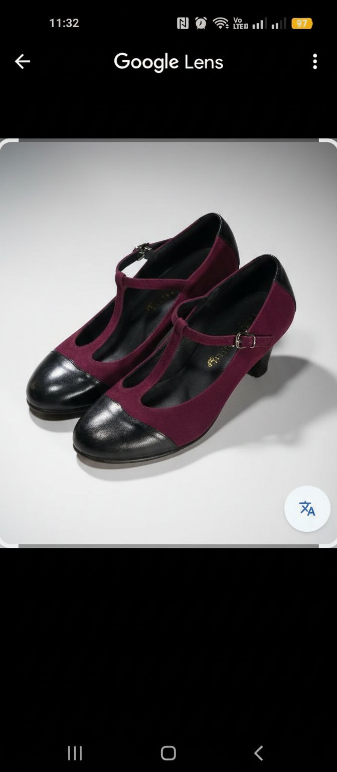 Chaussures sont des escarpins à bride de la marque Tendenze.
