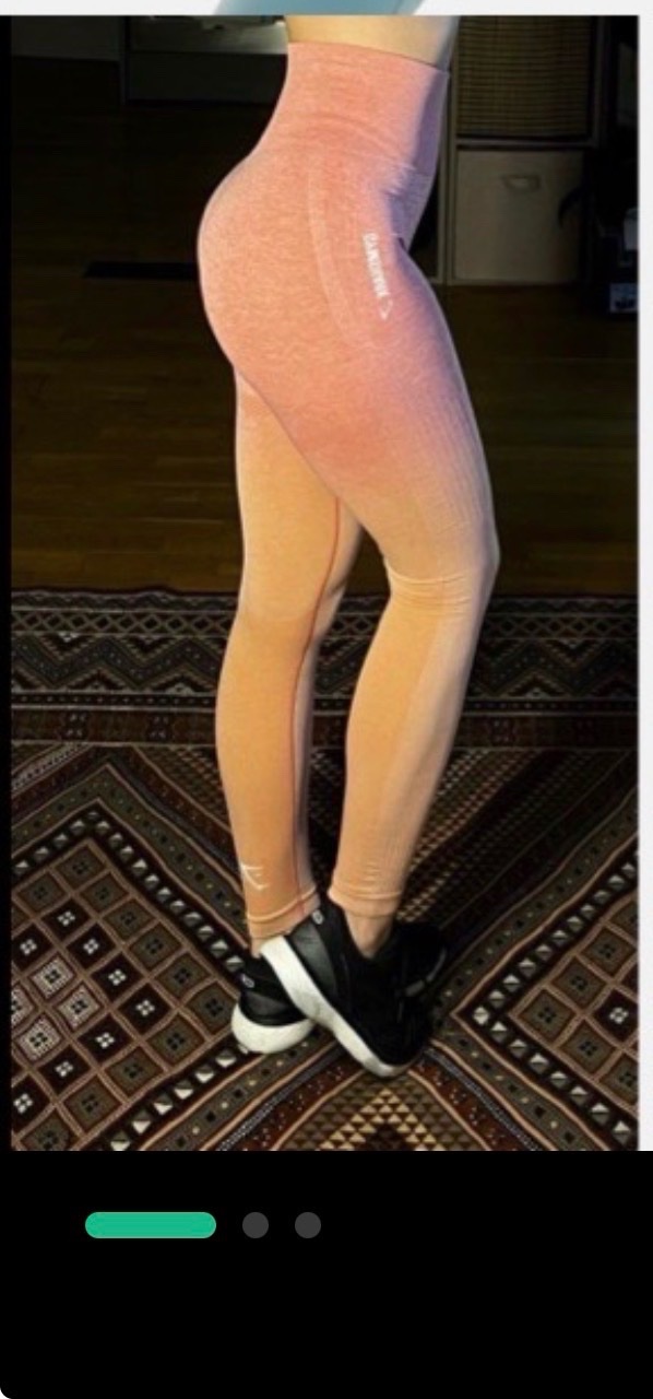 Legging gym shark