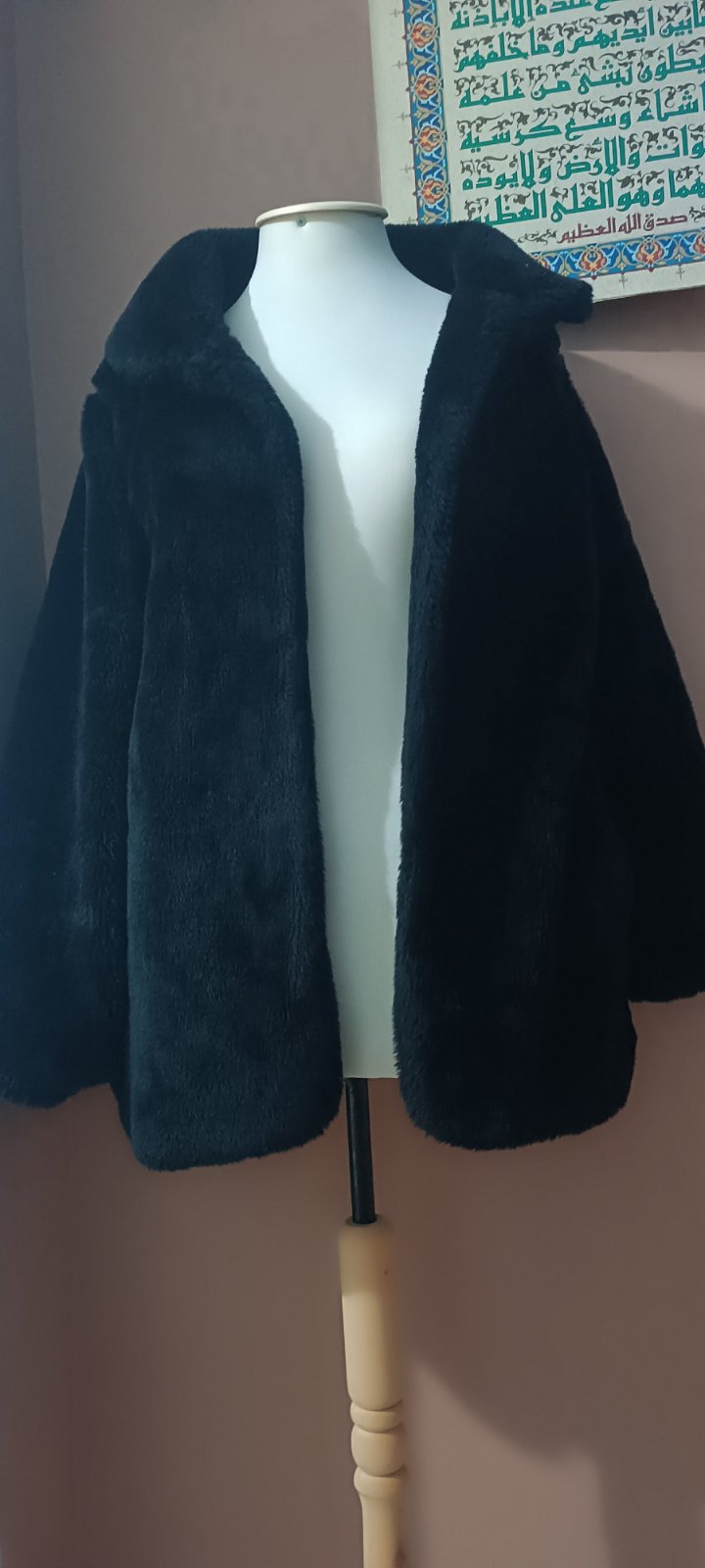 Manteau zara