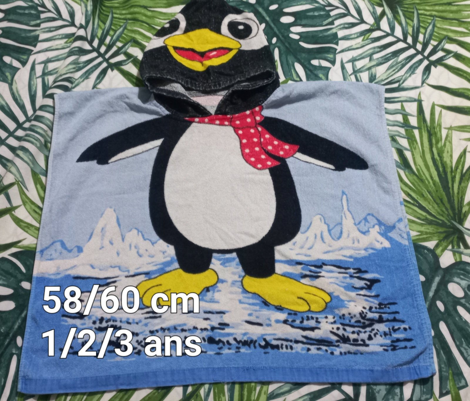 Poncho