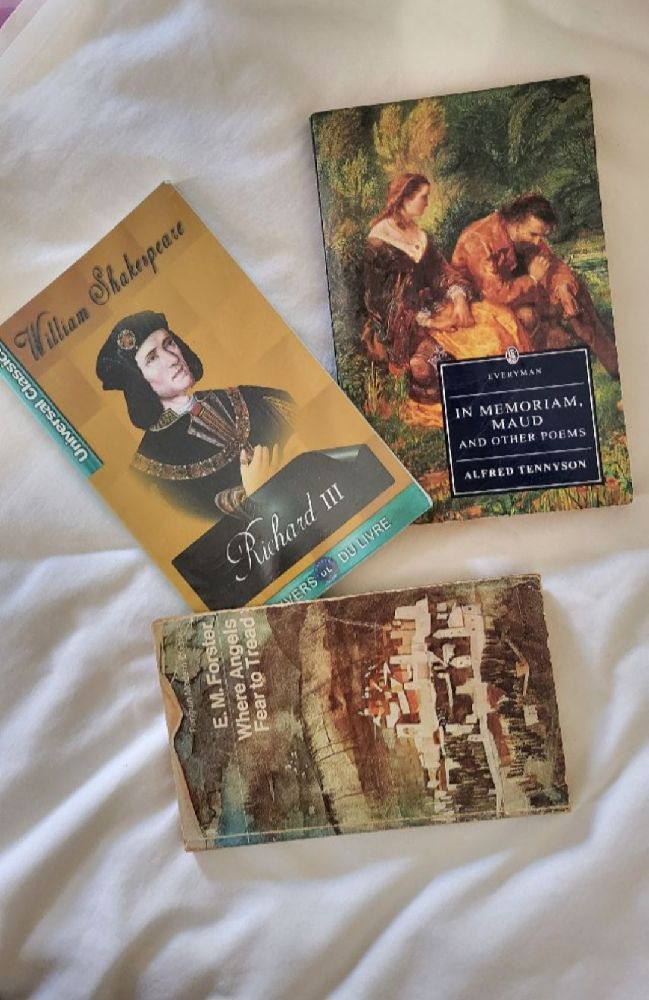 Lot de 3 Livres Neufs et Usés 