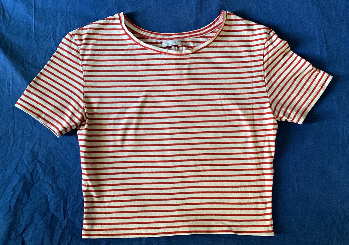 Top zara