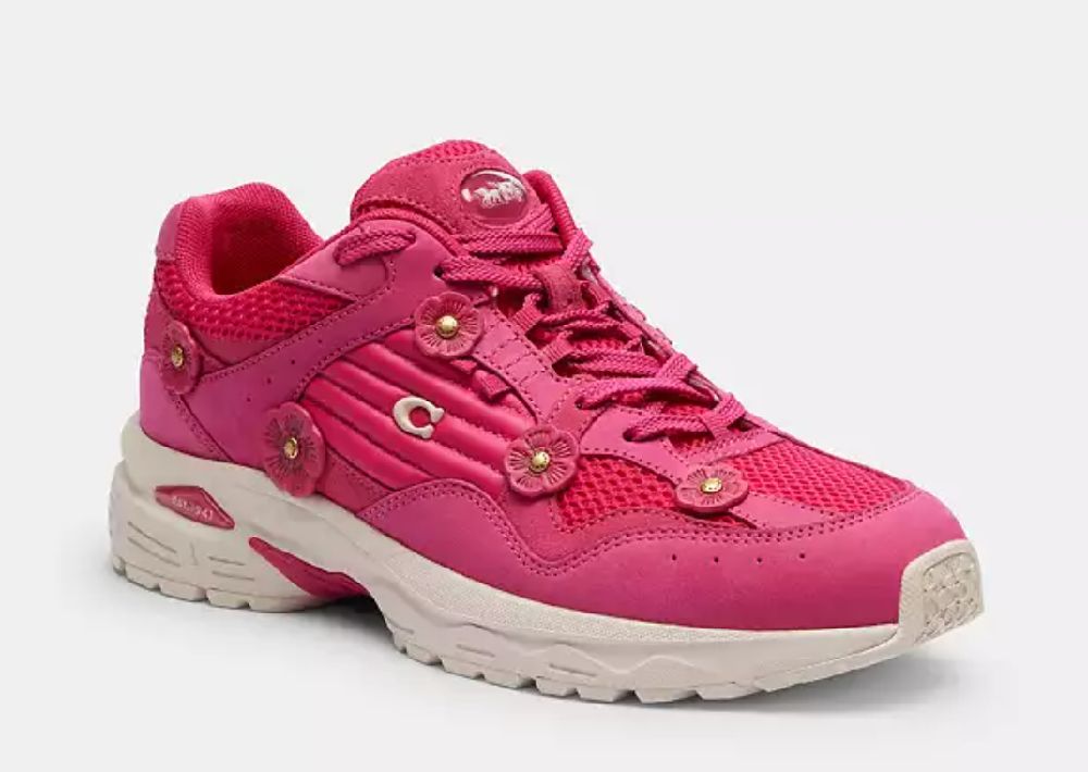Basket coach rose fuchsia 