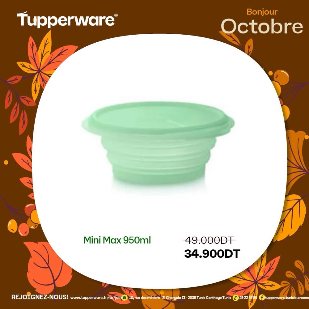 Set mini max tupperware 950ml avec entonnoir