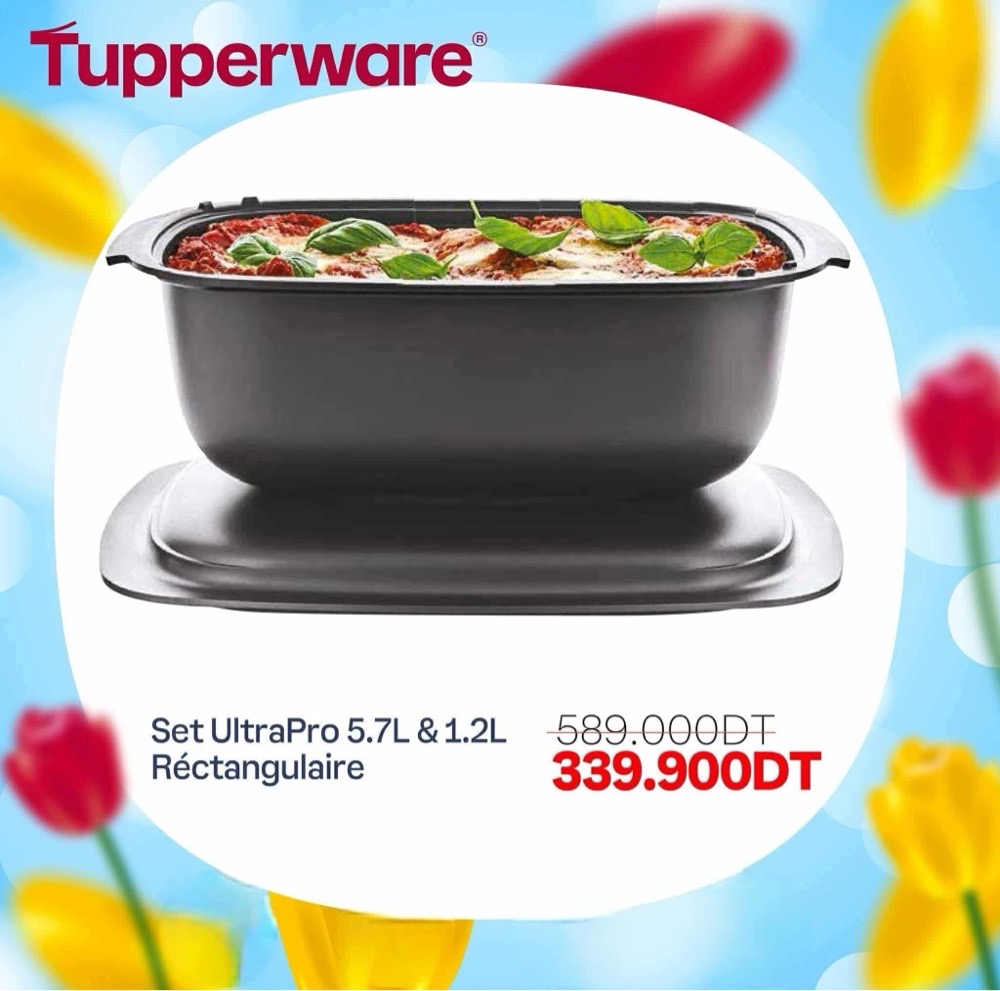 Ultra pro 5,7 l avec son couvercle 1,2l tupperware 