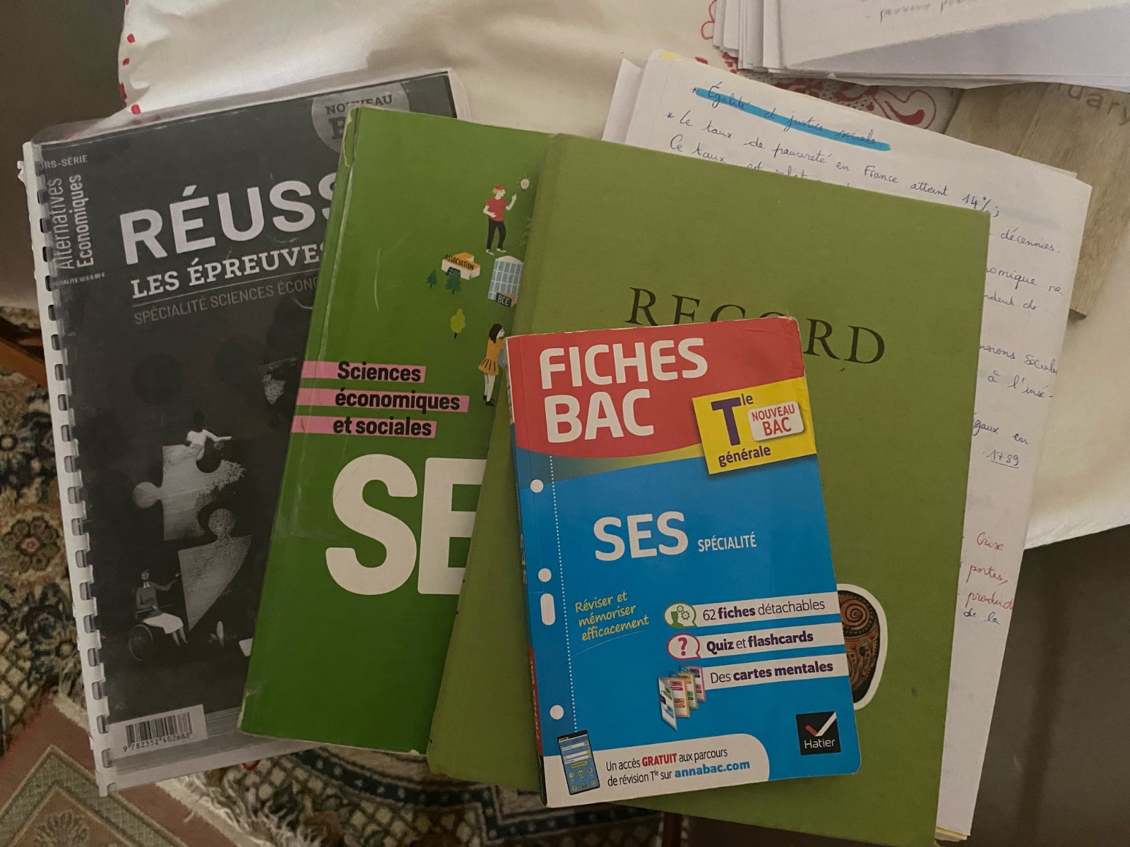 SES terminale bac francais