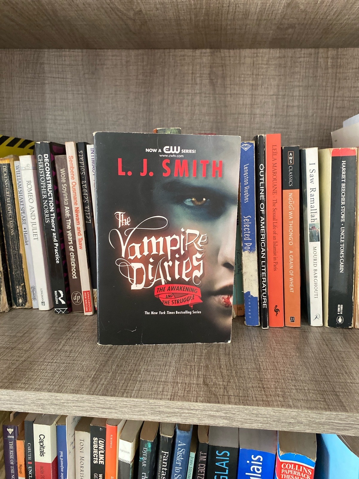 The vampire diaries