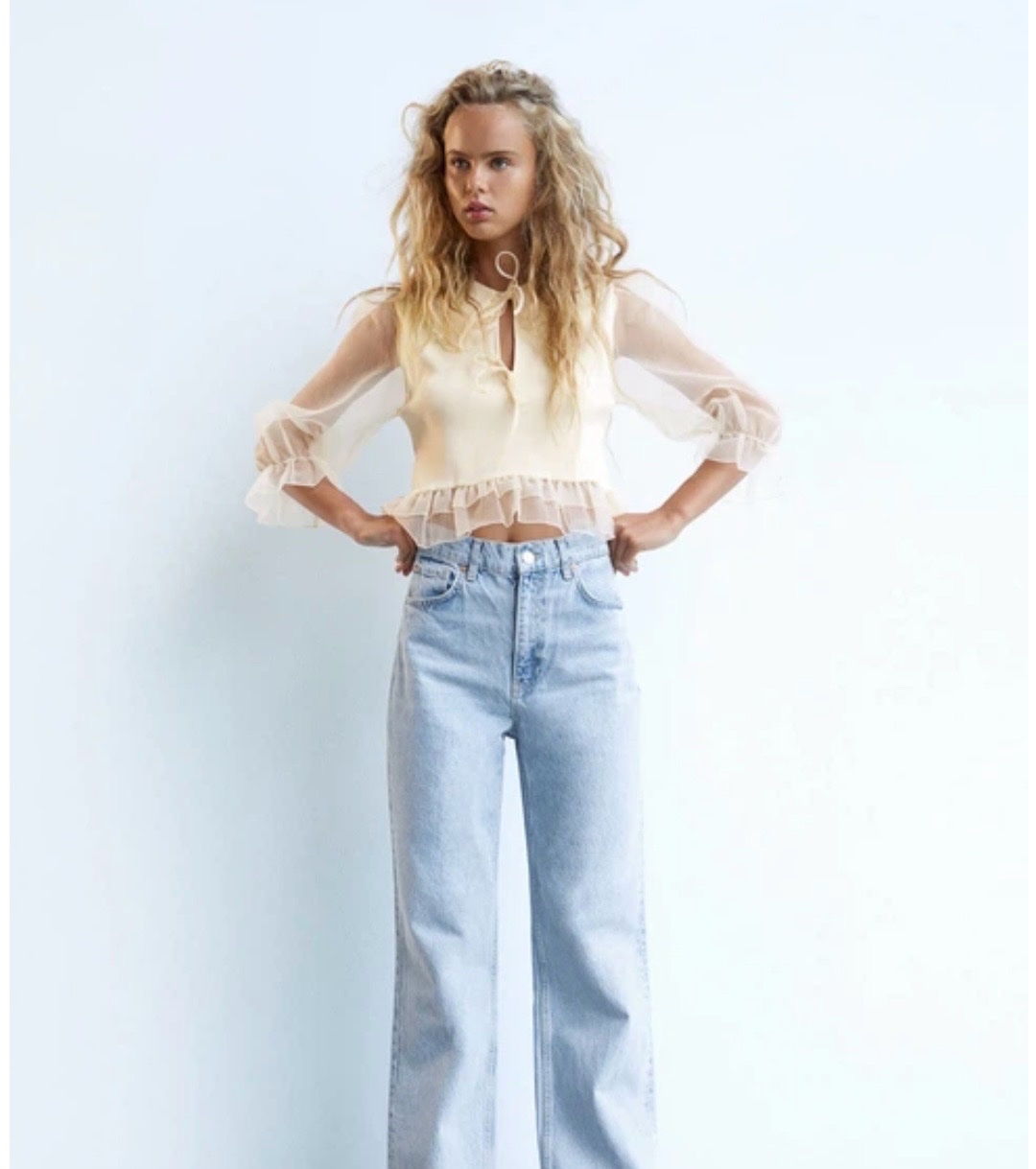 Pull zara manches transparentes