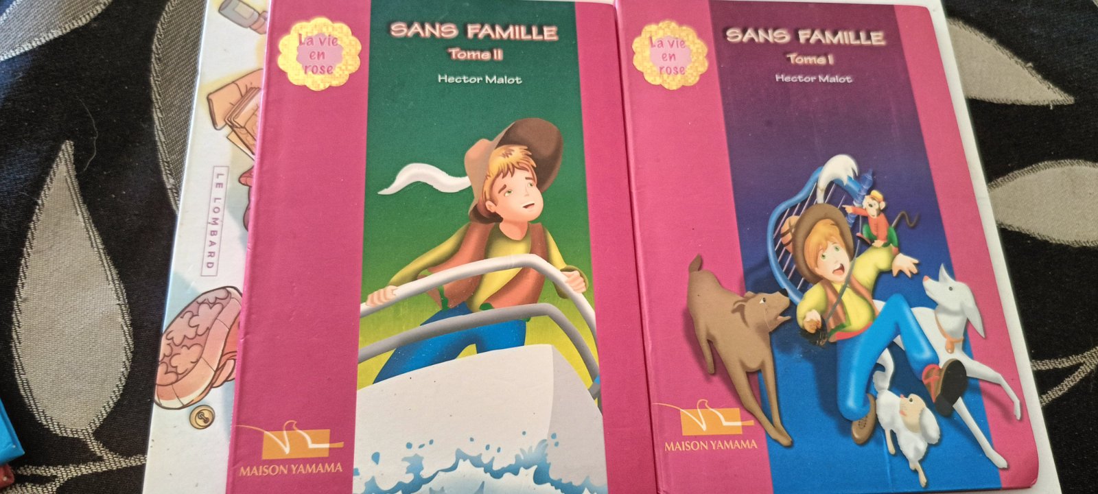 Lot de livres 