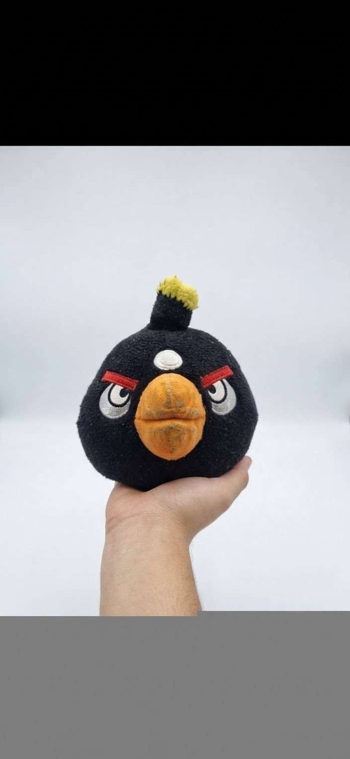 Black bird