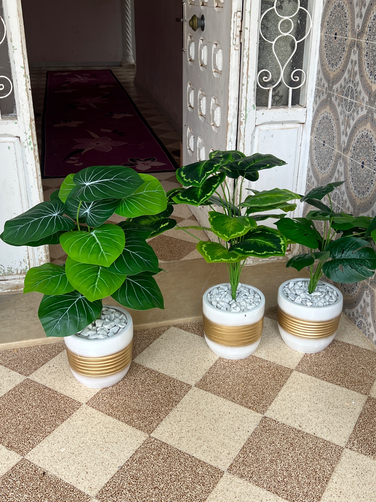 Plante