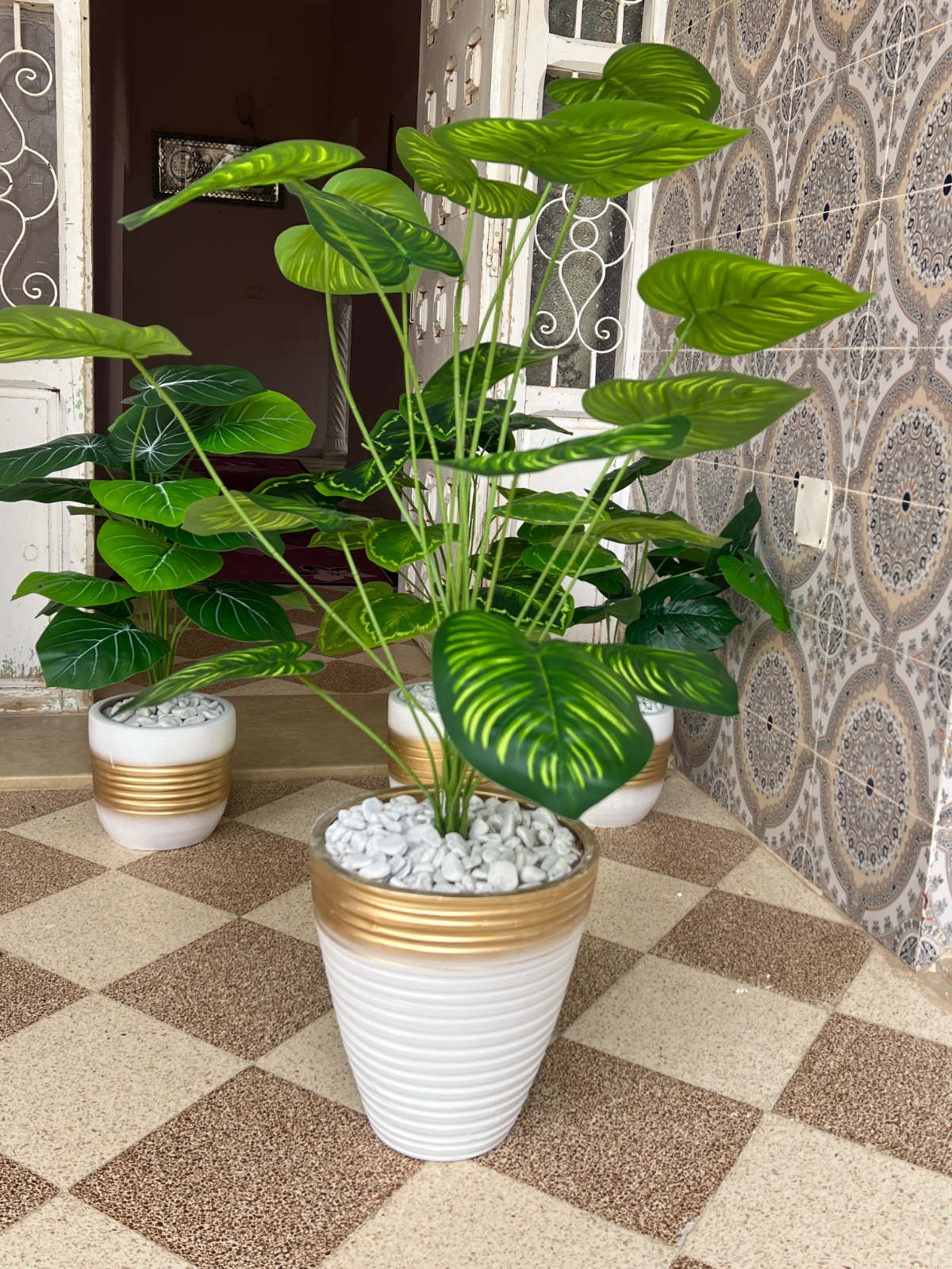 Plante