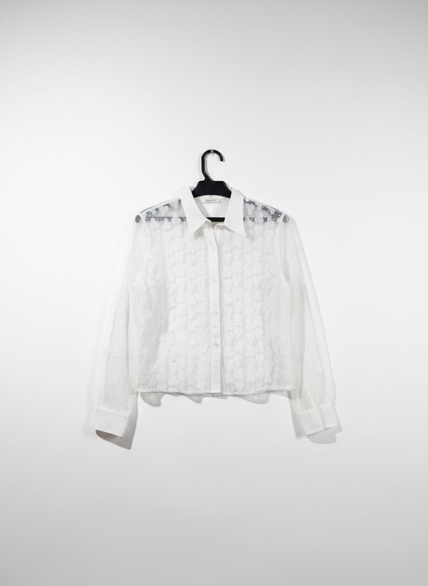 Petite chemise transparente 