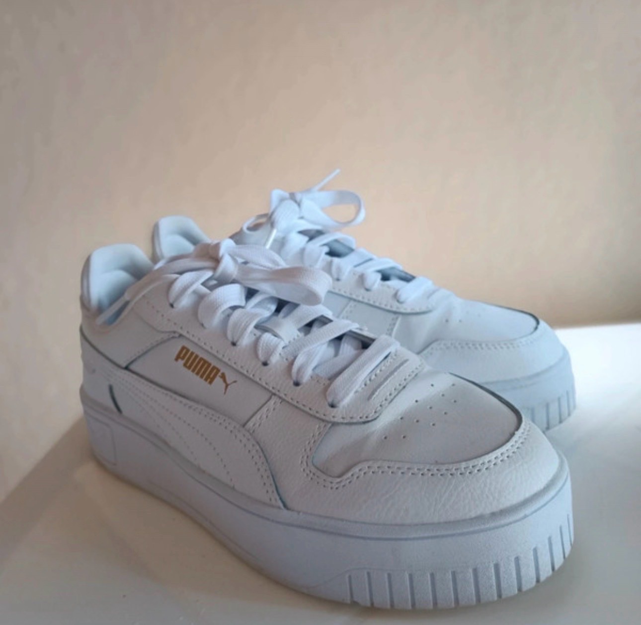 Basket puma