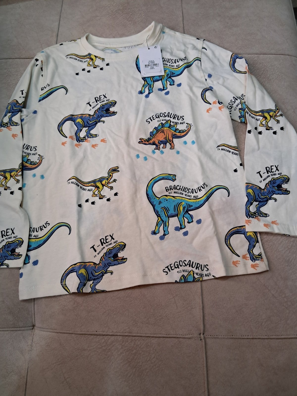 Pull dinosaure 