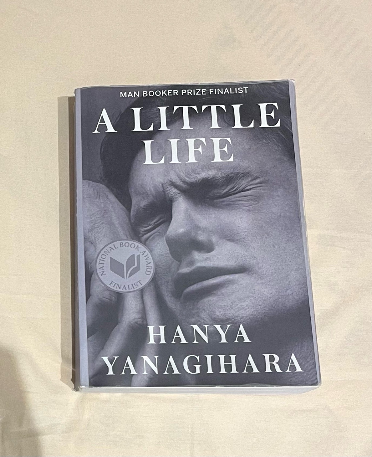 Livre A Little Life