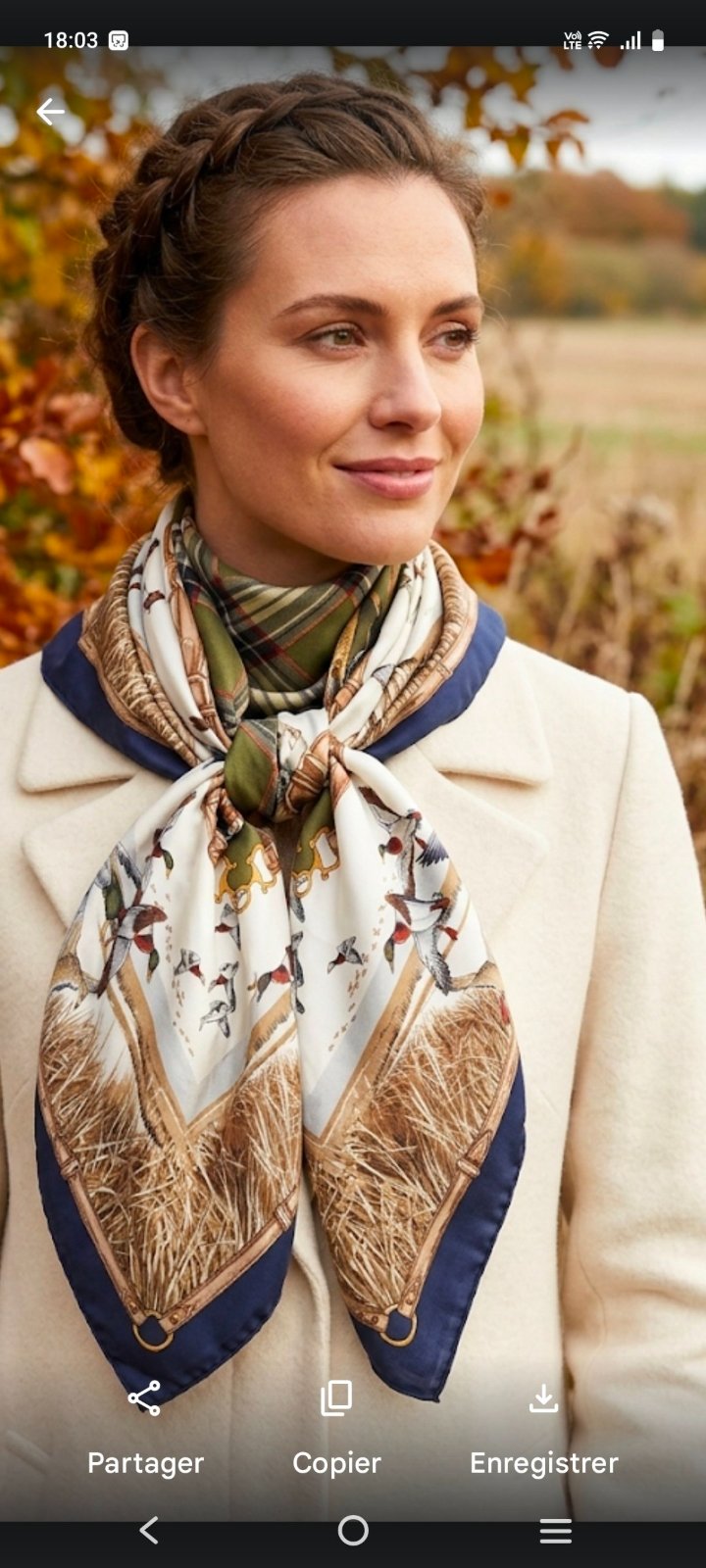 Foulard en soie 